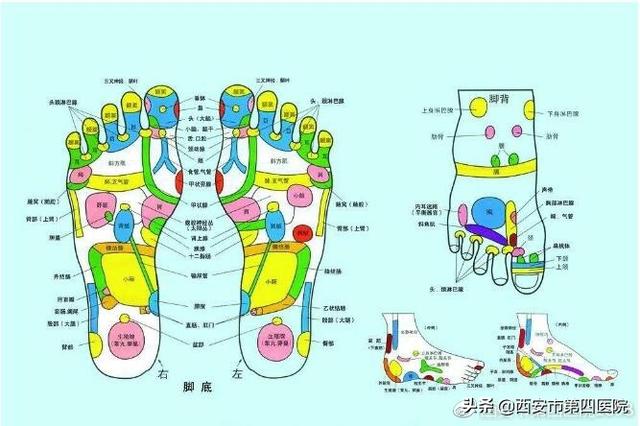 西安医院按摩技巧「\u005cu200b足反射按摩法操作顺序」  第9张