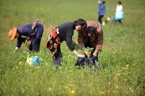 西安最全踏青攻略，这69个地方让你的春游再不单调「西安旅游攻略——西安旅游攻略」  第33张