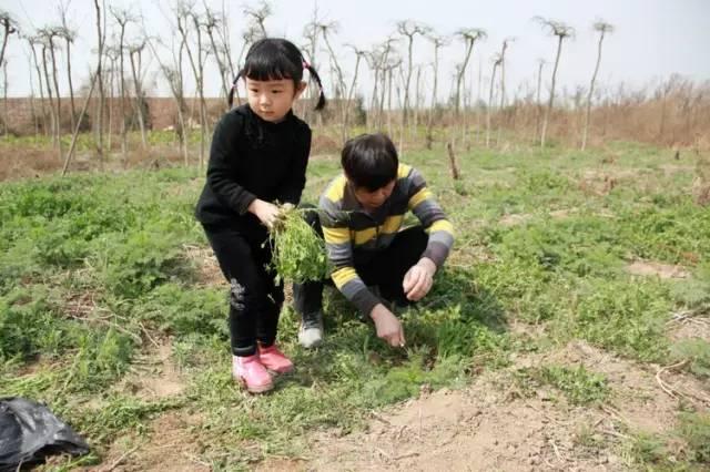 西安最全踏青攻略，这69个地方让你的春游再不单调「西安旅游攻略——西安旅游攻略」  第38张