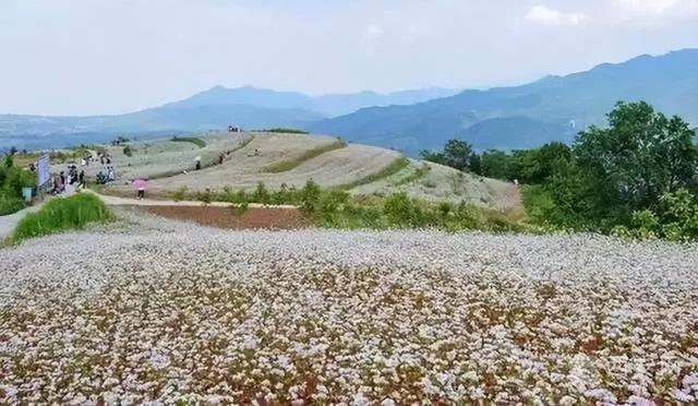 西安旅游景区攻略「西安休闲玩乐项目2、西安休闲玩乐项目2、西安休闲玩乐项目」  第2张