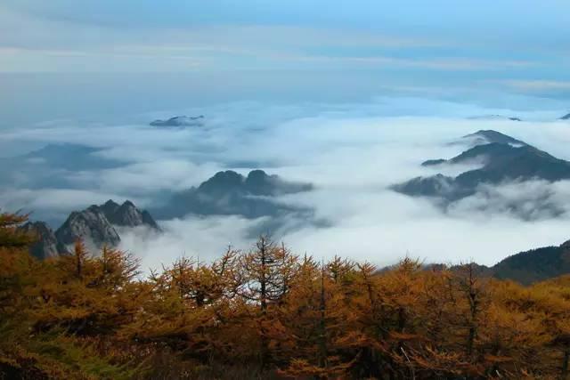 西安牡丹休闲园在哪里「西安牡丹庄园」  第46张