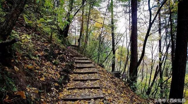 西安免费景点休闲西安免费景点休闲西安免费景点「休闲西安免费景点休闲西安免费景点休闲西安免费景点」  第4张