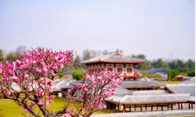 西安旅游休闲景点：秦始皇帝陵博物院“世界第八大奇迹”「西安旅游休闲景点」  第7张