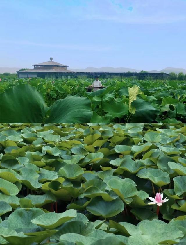 陕西旅游攻略之鬼谷田「西安附近休闲场所西安附近休闲场所西安附近休闲场所」  第39张