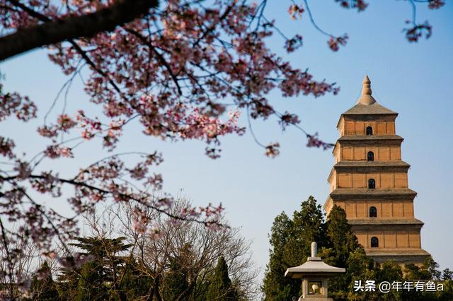 西安大雁塔自驾游必去十景点篇：大雁塔，大雁塔「春风得意、秋冬一日游」  第6张