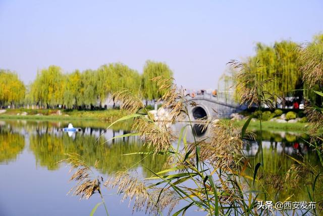 西安旅游资讯一览「12月5日西安旅游日历」  第19张