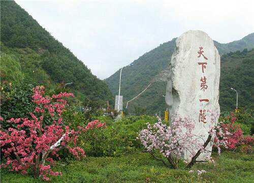 西安地区能种什么药材最值钱的「陕西种什么药材最赚钱」