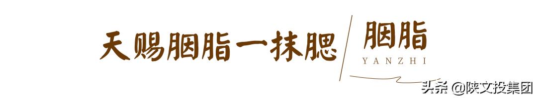 唐朝女子的装扮，你知道多少？「唐代女子画眉，三百六十五天都不带重样的唐代女子」  第14张