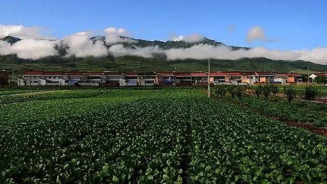 陕西旅游地方名产一览「西安旅游带什么礼物回去用挂面做一碗香喷喷的宝鸡」  第21张