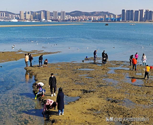 海草石是什么石头「西安哪里有海泡石」  第1张