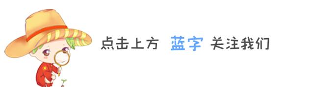 兰州铁路局有序恢复24对列车开行「12月13日起」  第1张