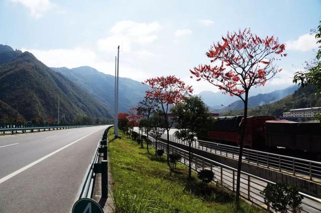 清明节西安交警提示「4月2日晚高峰、4月2日晚高峰、4月2日晚高峰将出现」  第5张