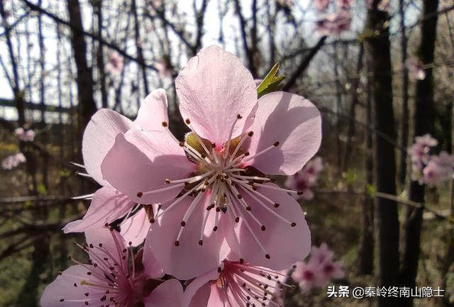 西安高新属于西郊还是南郊？「地处西安南边的地方有什么」  第10张