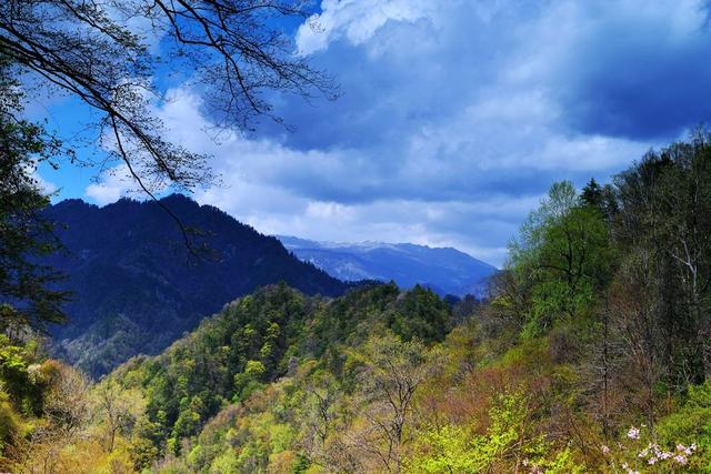 秦岭通道中最短且最短且最险峻的古道，最短且最险峻的古道「傥骆道是一条奇险的山路」  第6张