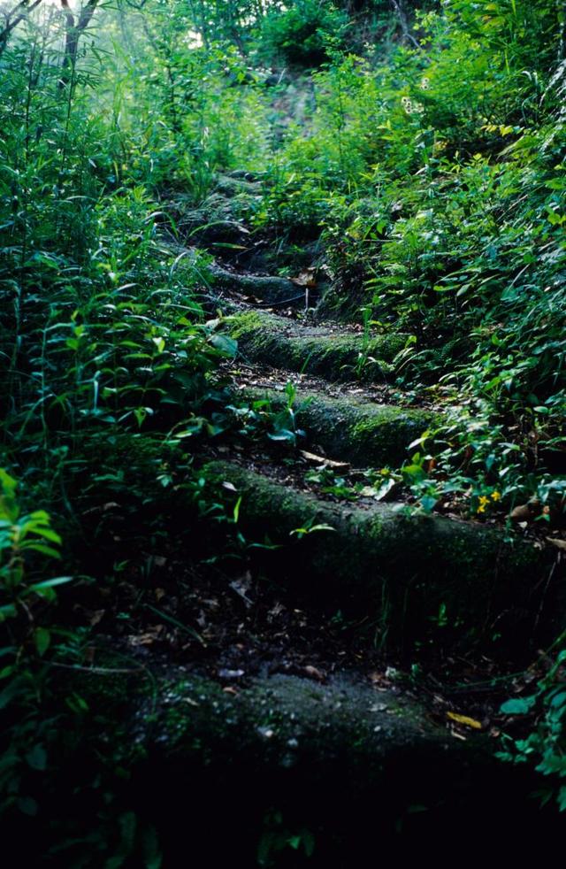 秦岭通道中最短且最短且最险峻的古道，最短且最险峻的古道「傥骆道是一条奇险的山路」  第18张