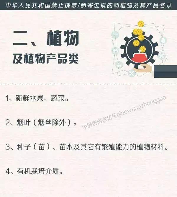 加拿大一枝黄花冲上微博热搜第一外来入侵物种引网友关注「“一枝黄花”是什么花，为何让人如临大敌？」  第6张