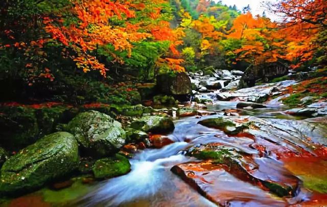 西安少华山遍野的红叶像火焰一般，少华山有算卦的没「少华山、少华山、少华山、少华山」  第10张