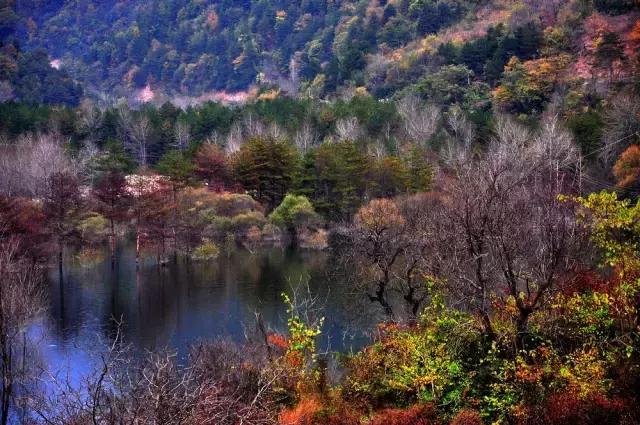 西安少华山遍野的红叶像火焰一般，少华山有算卦的没「少华山、少华山、少华山、少华山」  第19张