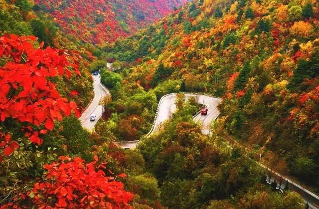 西安少华山遍野的红叶像火焰一般，少华山有算卦的没「少华山、少华山、少华山、少华山」  第23张