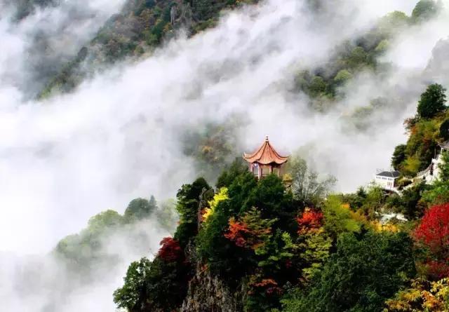 西安少华山遍野的红叶像火焰一般，少华山有算卦的没「少华山、少华山、少华山、少华山」  第30张