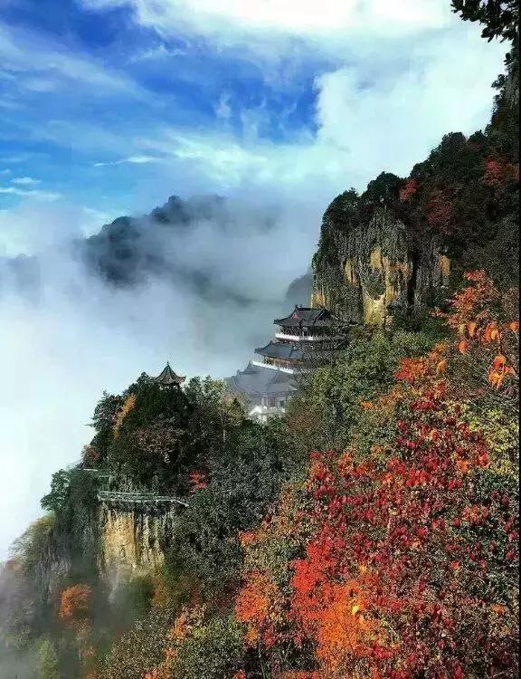 西安少华山遍野的红叶像火焰一般，少华山有算卦的没「少华山、少华山、少华山、少华山」  第29张