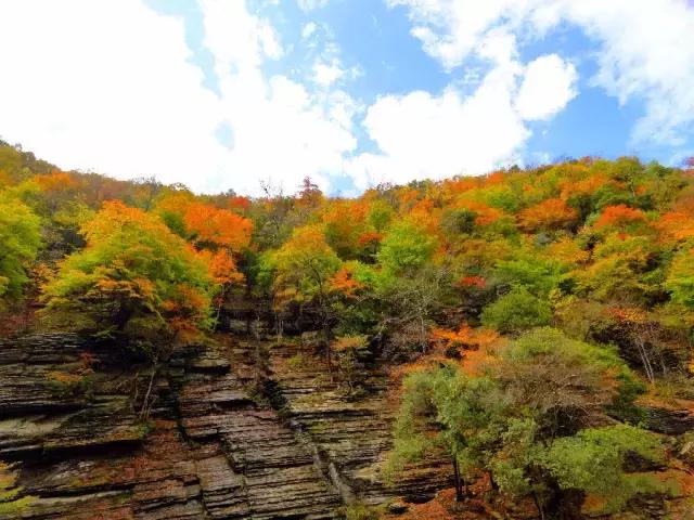 西安少华山遍野的红叶像火焰一般，少华山有算卦的没「少华山、少华山、少华山、少华山」  第32张