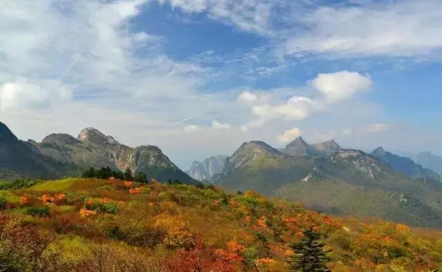 西安少华山遍野的红叶像火焰一般，少华山有算卦的没「少华山、少华山、少华山、少华山」  第34张