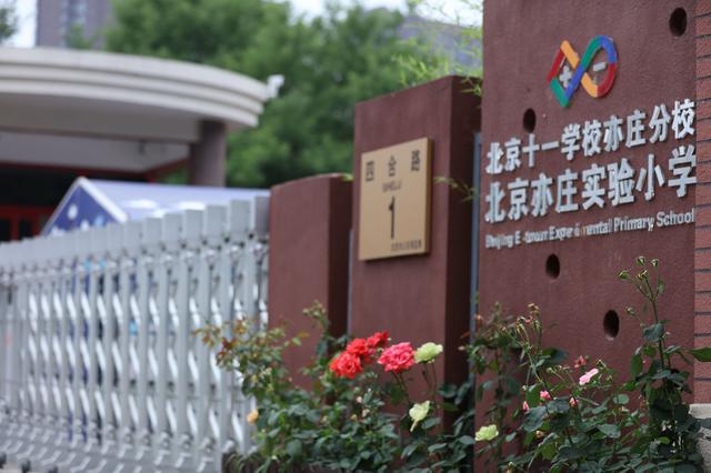 北京师范大学实验小学招聘简章「北京师范大学2023年北京师范大学实验小学实验小学招聘」  第3张