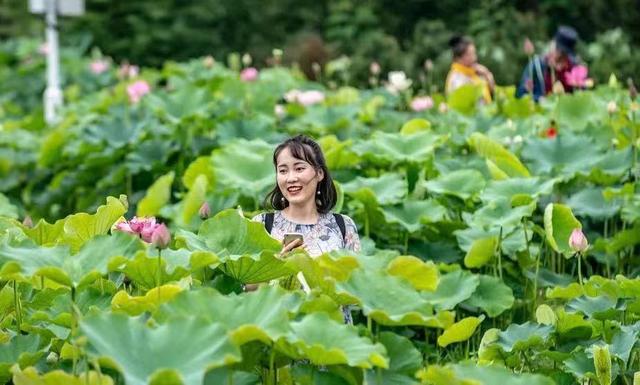 西安市内有什么避暑的地方吗「西安夏天有避暑的地方」  第5张