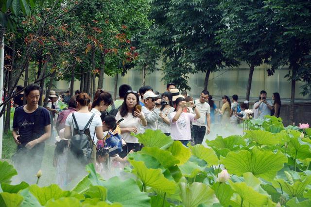 西安市内有什么避暑的地方吗「西安夏天有避暑的地方」  第7张