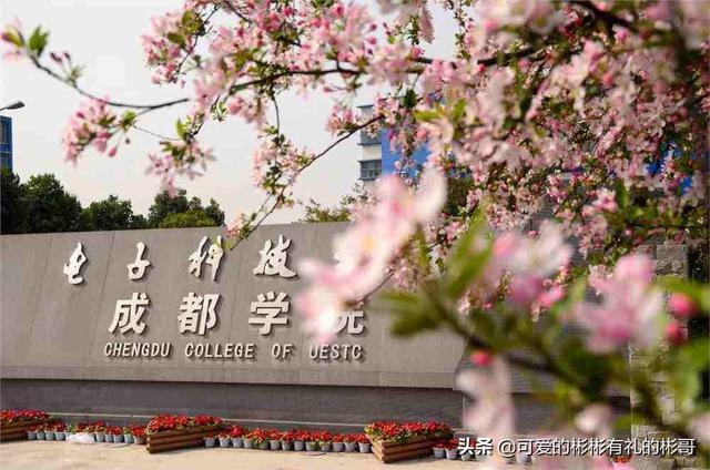 西安信息职业大学为什么叫大学「西安信息科技大学是什么档次」  第3张