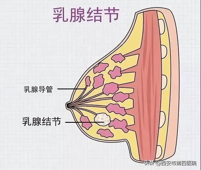 西安治疗男性生殖病什么医院好一点「西安生殖科哪个医院好」  第1张