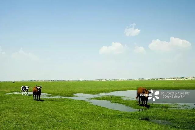 西安首家黑龙江特色烤肉排行榜之冠，黑龙江特色烤肉「抖音里的烤肉，你吃了吗？」  第3张