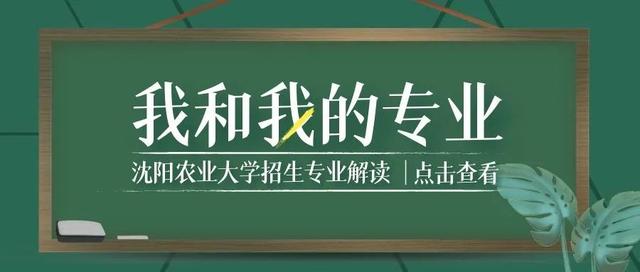 西安交通大学校园里著名的花卉是什么  第1张