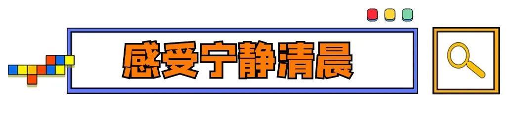 去西安旅游一般带什么东西呢「去西安旅游带啥东西」  第4张