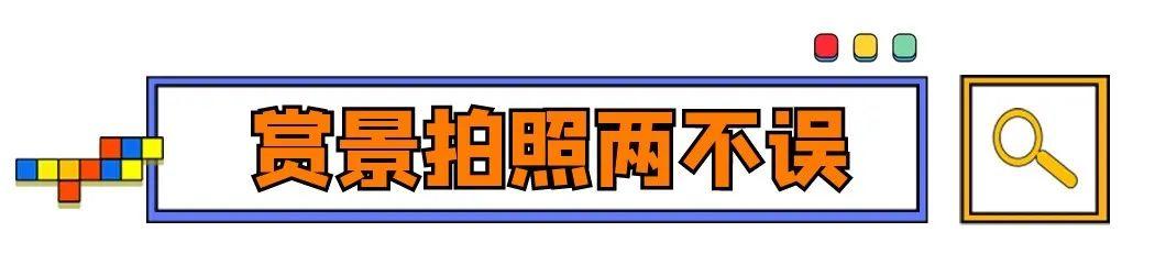 去西安旅游一般带什么东西呢「去西安旅游带啥东西」  第7张