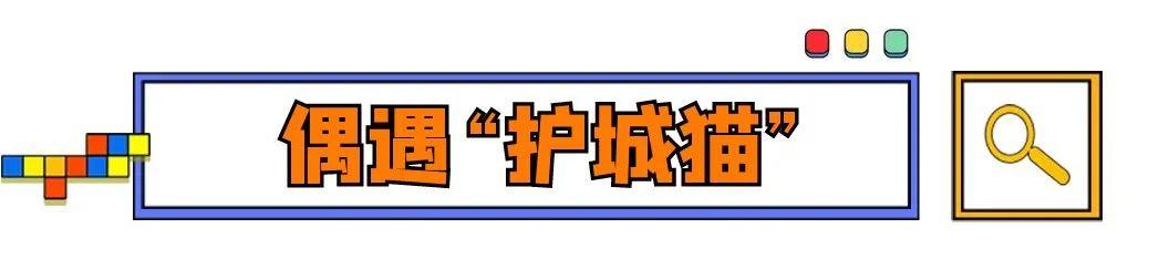 去西安旅游一般带什么东西呢「去西安旅游带啥东西」  第10张