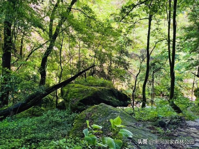 西安周边有哪些好去处「西安周边人少风景好的地方」  第13张