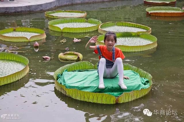 西安植物园什么时间去好玩呢「西安植物园几月份去好」  第3张