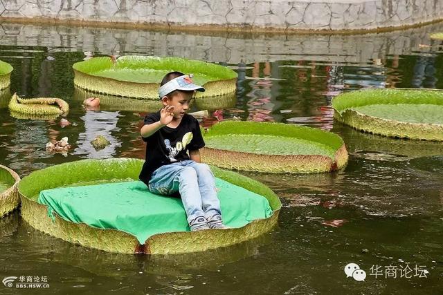 西安植物园什么时间去好玩呢「西安植物园几月份去好」  第2张