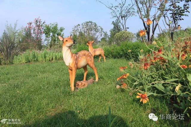 西安植物园什么时间去好玩呢「西安植物园几月份去好」  第7张