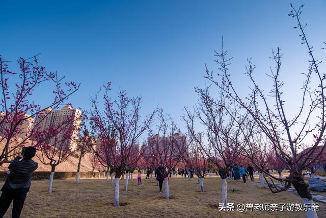 西安值得带的东西「西安有什么好耍的」  第8张