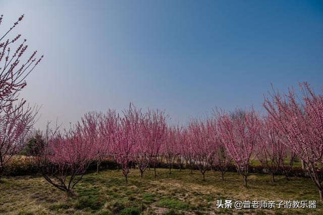 西安值得带的东西「西安有什么好耍的」  第39张