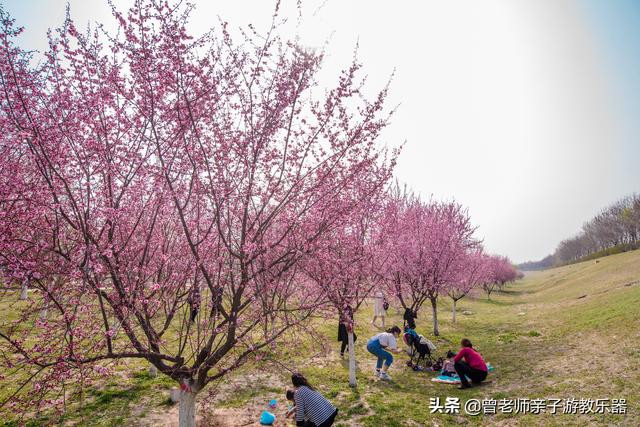 西安值得带的东西「西安有什么好耍的」  第44张