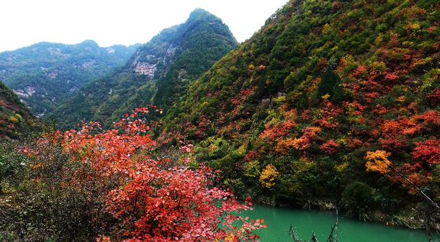 西安市泾阳县有什么好玩的地方「陕西泾阳有什么好玩的地方呢」  第1张