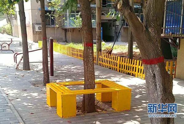 西安什么地方有买花盆的「西安花卉市场花盆」  第2张