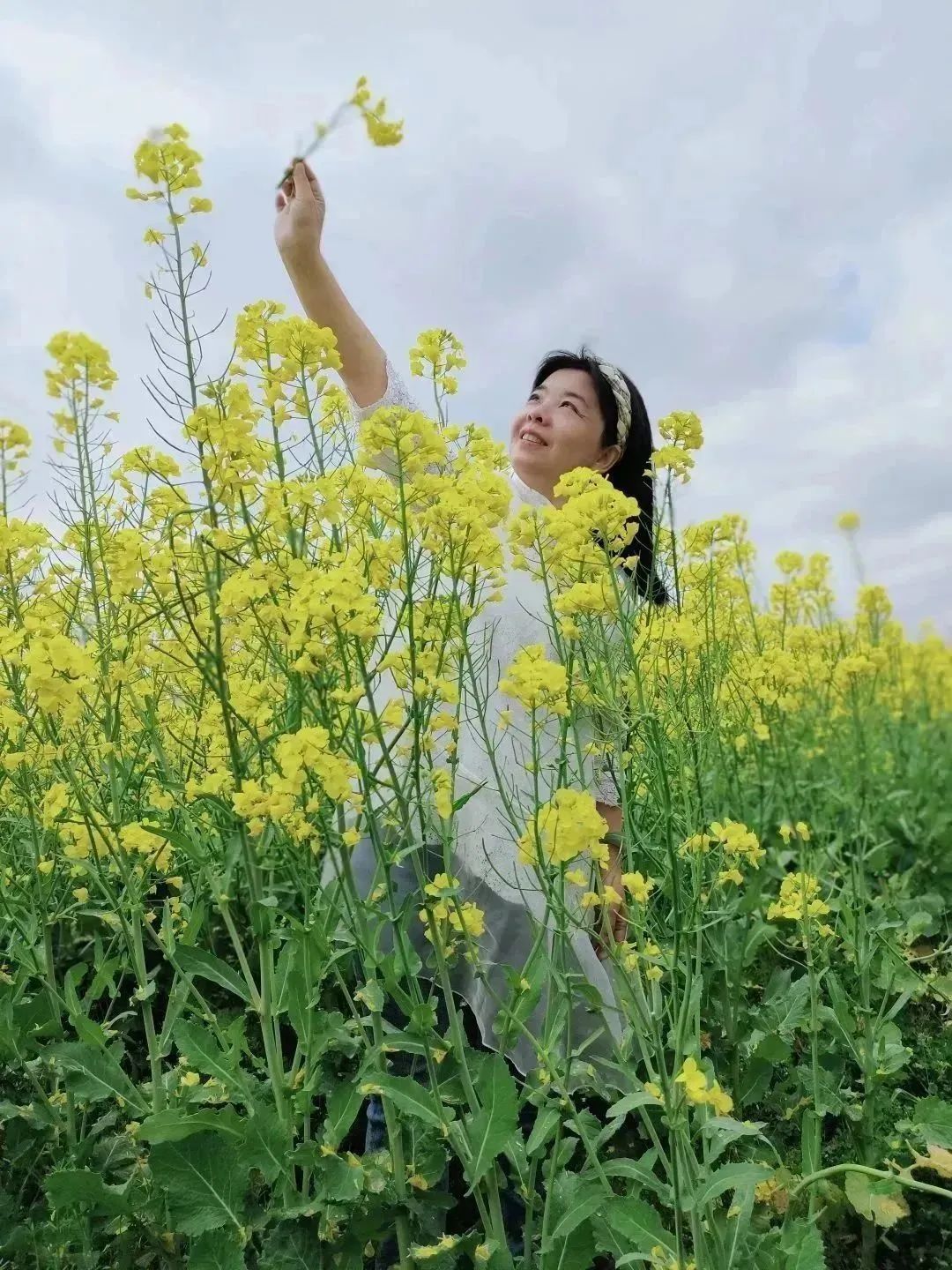 春意正浓！西安观景油菜花篇，宫里花海灿烂-第13张图片