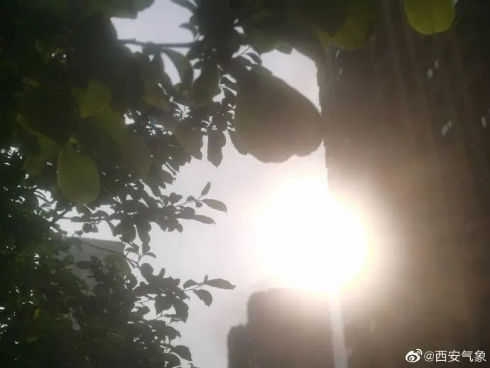 高温要来了！升温！升温！升温！西安本周34℃！-第3张图片