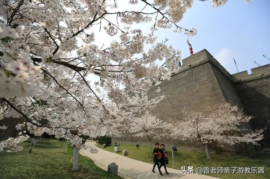 每一个都值得一去！西安旅游首选10大景区，最详细攻略，避坑指南-第24张图片