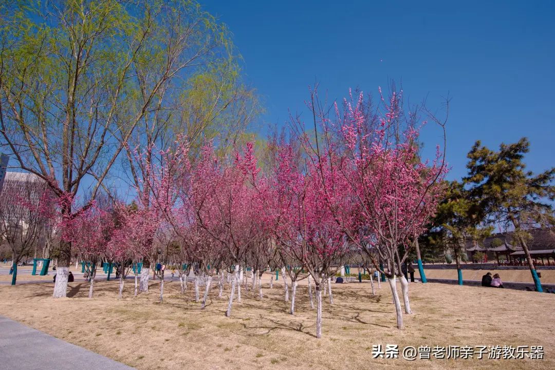 每一个都值得一去！西安旅游首选10大景区，最详细攻略，避坑指南-第26张图片